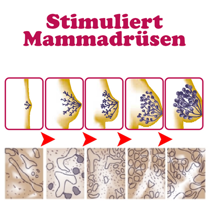 ATTDX Büsteprall Curve Kräuterpflaster