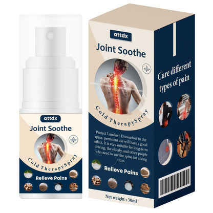 Gelenk Beruhigendes Kältetherapie Spray