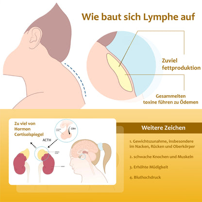 ATTDX Lymphatisches Ingwer LinderungsCreme