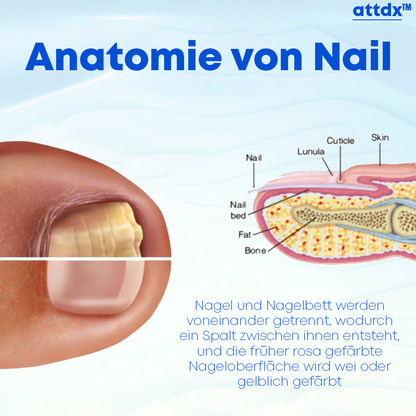 ATTDX Nagelerneuerungs Restaurierungs Serum