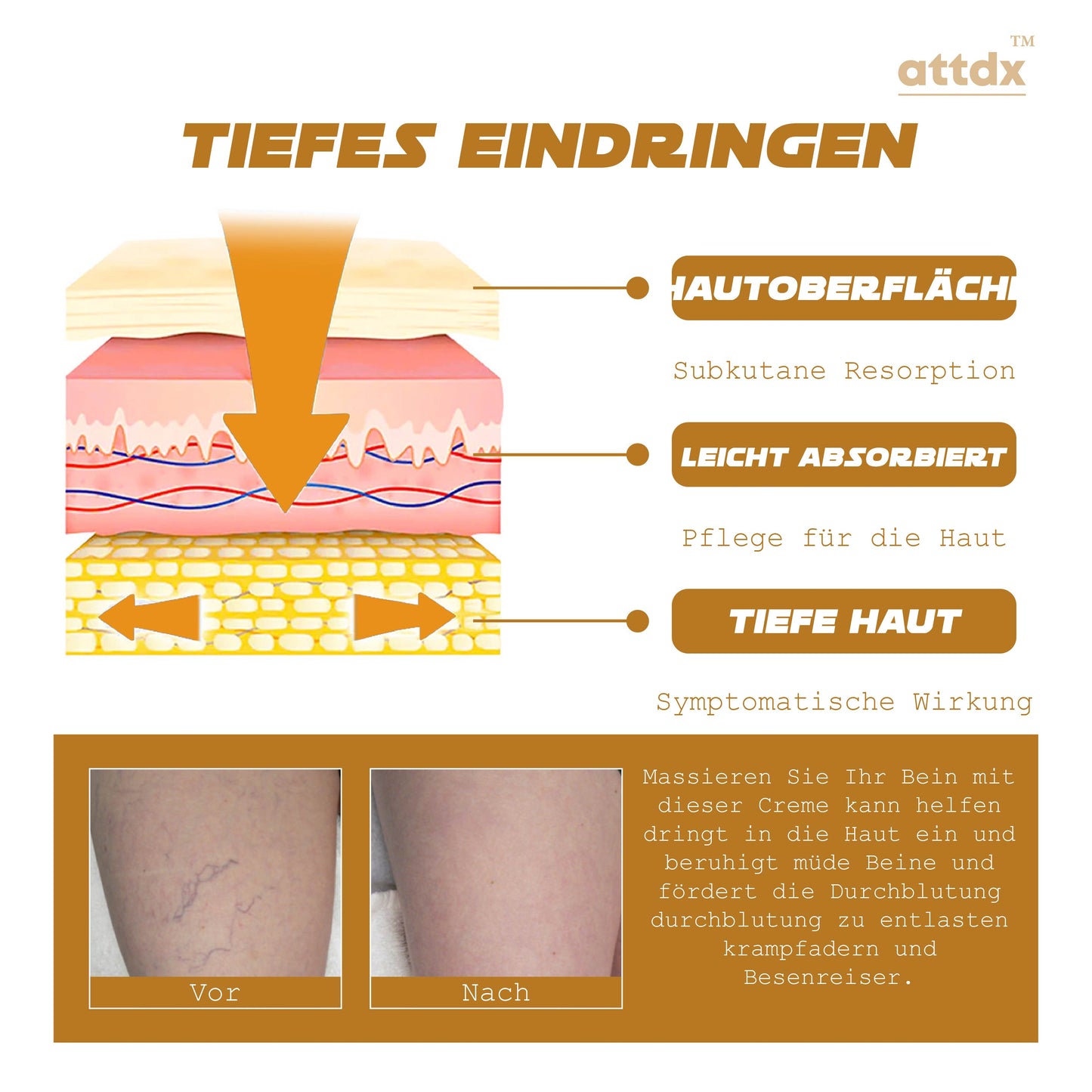 ATTDX VenenErneuerung GlatteBeine Crème