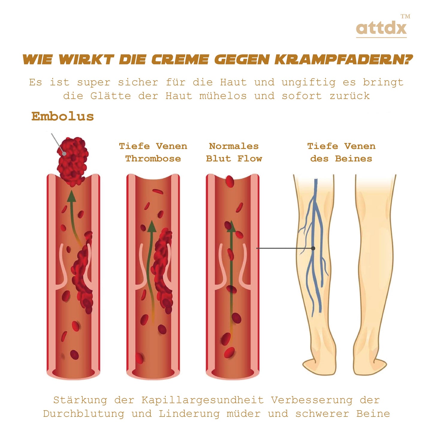 ATTDX VenenErneuerung GlatteBeine Crème