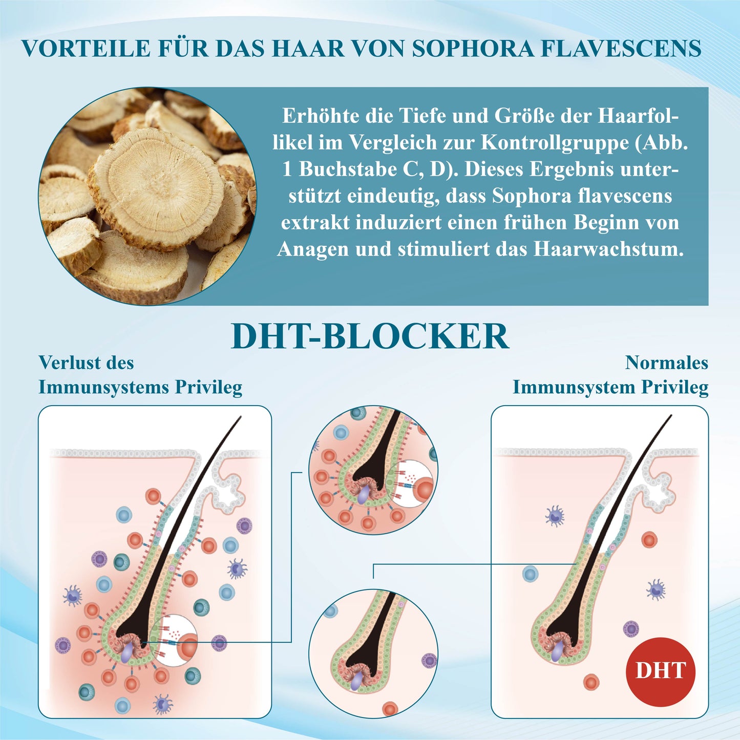 ATTDX™  Alopecia Wiederherstellungs Haarwuchscreme