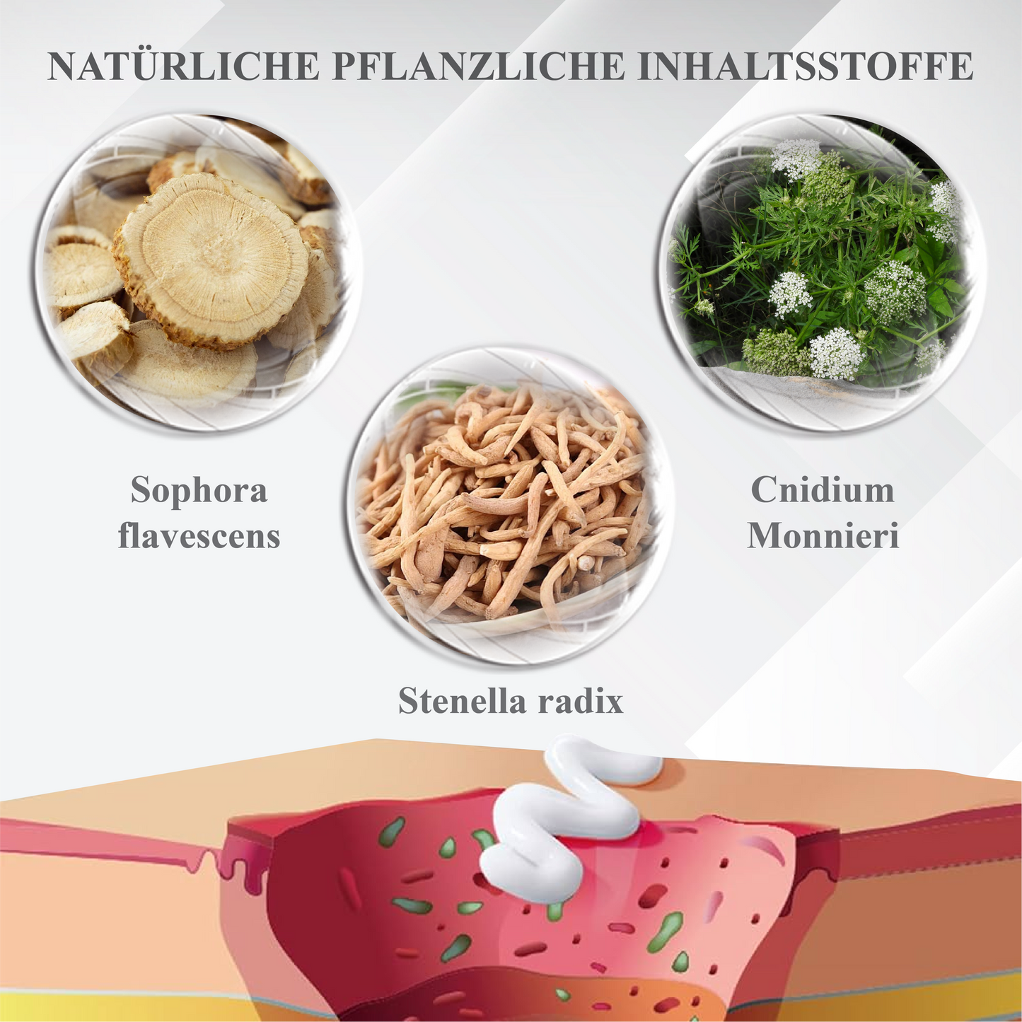 ATTDX™ Diabetische Reparatur Hautheilcreme