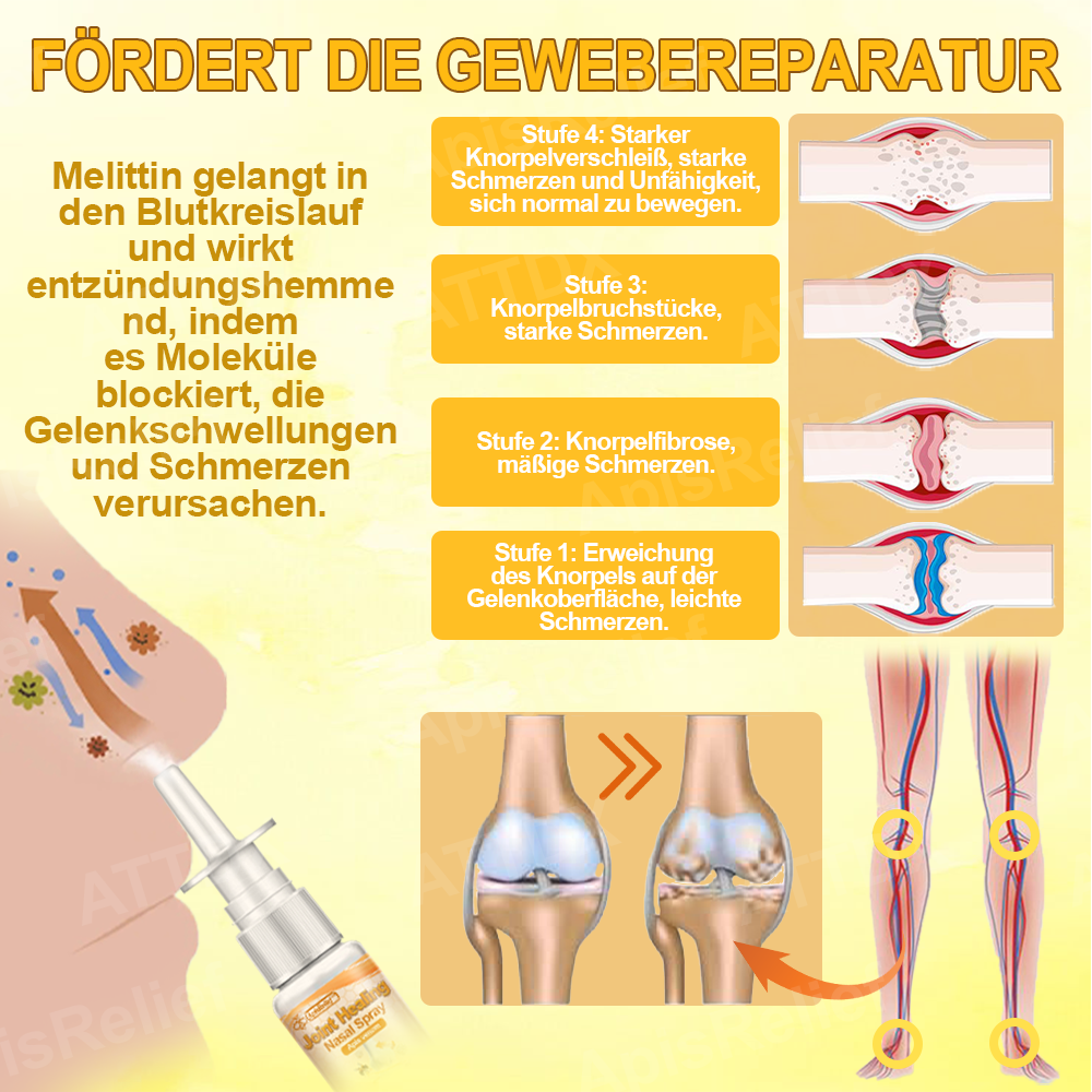 ApisRelief™ Gelenkheilung Nasenspray