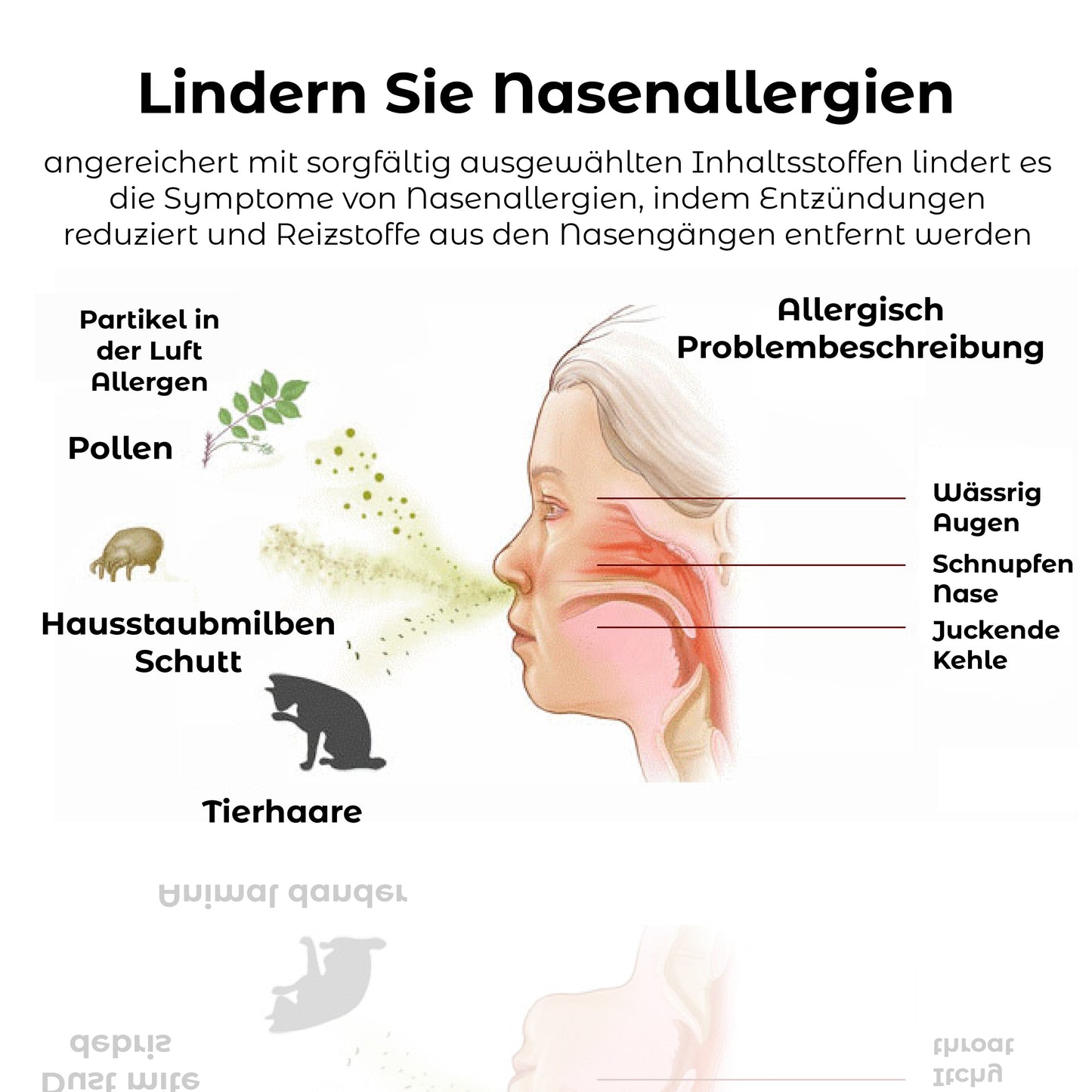 RICPIND EMS RespiRestore Nasal Therapy Gerät