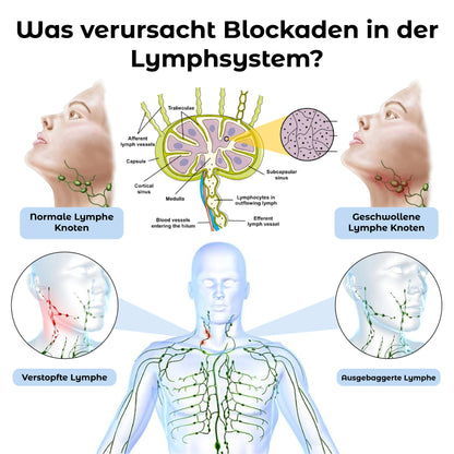 RICPIND Vitalität Scheinen Zirkulation Glanz Ohrclips