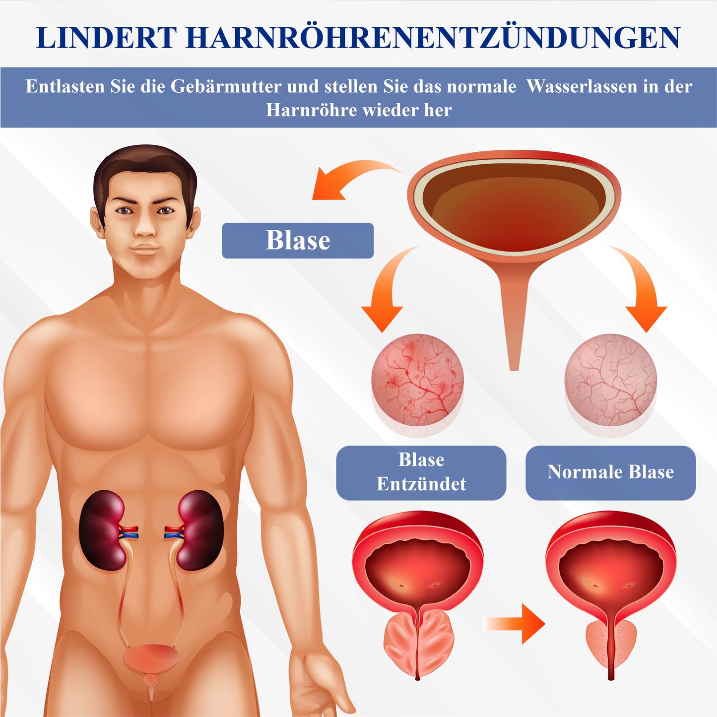 RICPIND™ Magnetisches Kupfer ProstaEntlastungsarmband