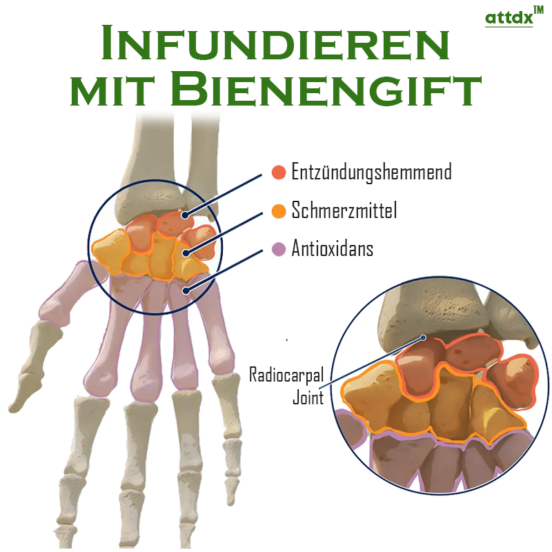 ATTDX Bienengift Gelenk Entlastungs Pflaster