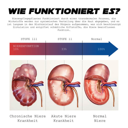 ATTDX NierePflege Körper Entgiftung Aufnäher