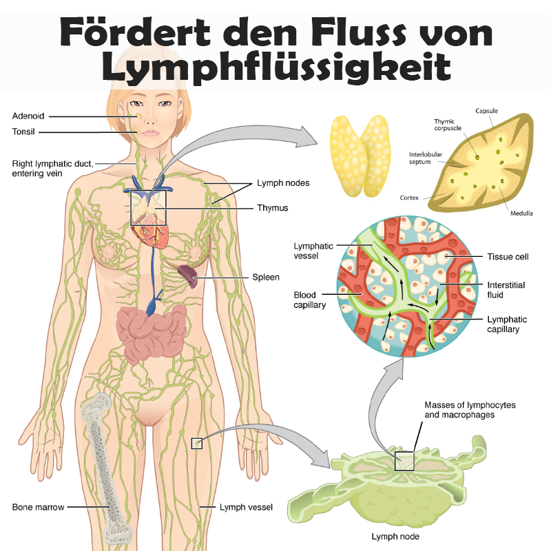 ATTDX KörperSkulptur Abnehmen Nasal Inhalator