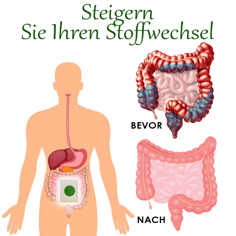 ATTDX Kräuter Abnehmen KörperEntgiftung Aufnäher