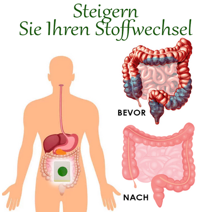 ATTDX Kräuter Abnehmen KörperEntgiftung Aufnäher