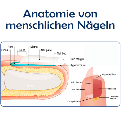 ATTDX Nagel Reparatur Fungus Behandlung Stift