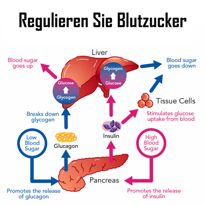 Ricpind ErleichterungZuckerkrankheit KörperBildhauerei HandRiemen