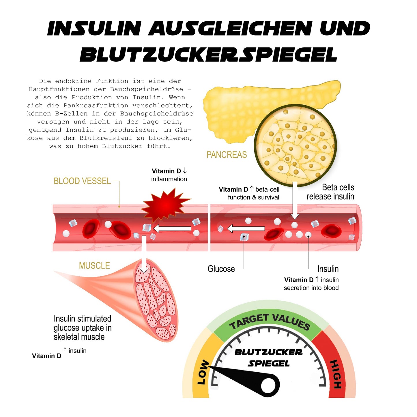 Ricpind ErleichterungZuckerkrankheit KörperBildhauerei HandRiemen